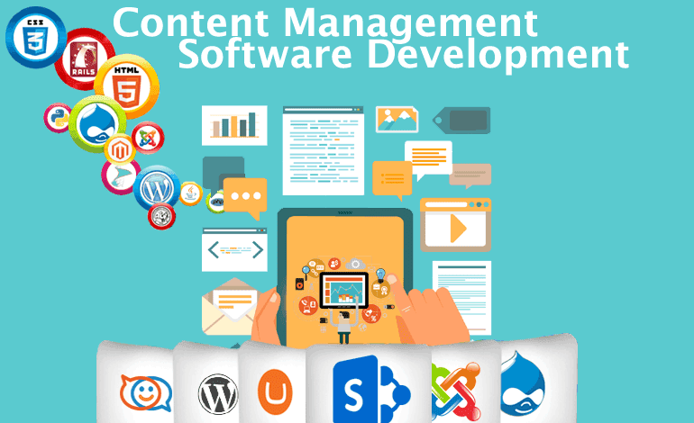 Content Management Software in Patna