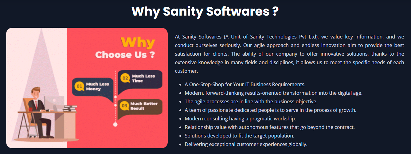 Why Sanity Softwares is the Best Website Development Company in Patna